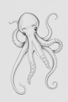 an octopus is drawn in pencil on paper