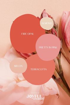 three circles with the words fire opal, pretty in pink and terracotta