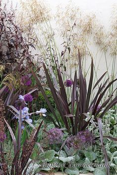 an assortment of plants and flowers in a garden area next to a wall with water