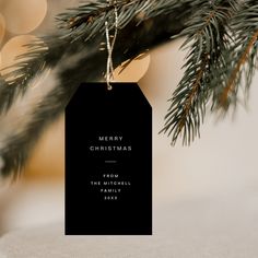 a christmas ornament hanging from a pine tree