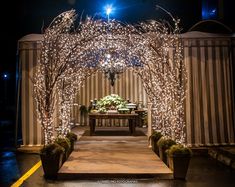 an outdoor area with lights and plants on the ground at night, lit up by candles