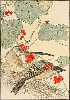 two birds sitting on top of a tree with red berries