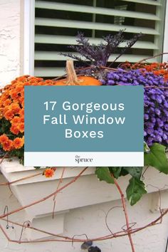 a window box filled with lots of colorful flowers