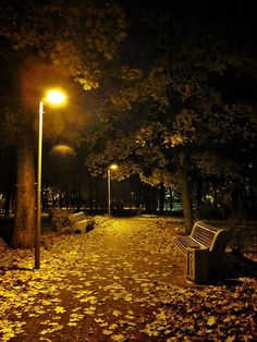 a park bench sitting on top of a leaf covered ground next to a street light