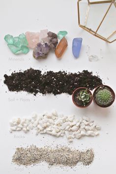 various types of rocks and plants on a white surface with text describing the different materials used in this project