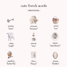 a poster with words and pictures on it that say cute french words in different languages