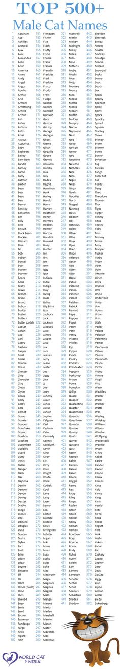 an image of a table with numbers on it and the names for each event in blue