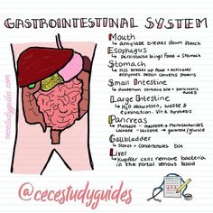 an image of the gastrointensal system with instructions on how to use it