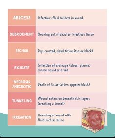 the different types of hair and how to use it for your face shape info sheet