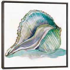 a watercolor painting of a sea shell