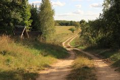 a dirt road in the middle of a field with trees and grass on both sides