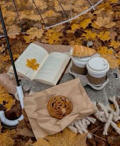 an open book sitting on top of a pile of leaves next to two coffee cups