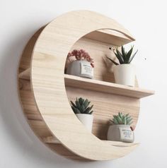 three potted plants are placed in the shape of a crescent on a wooden shelf