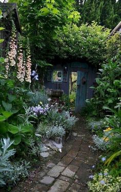 an outdoor garden with lots of plants and flowers around the entrance to a shed that is surrounded by greenery