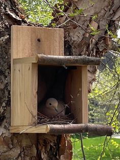 a bird is sitting in its nest on the side of a wooden box attached to a tree