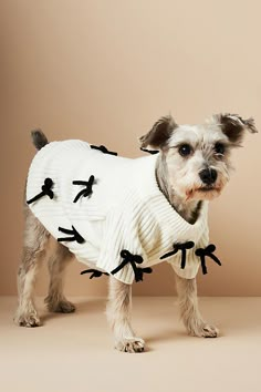 a small dog wearing a white sweater with black birds on it's back legs