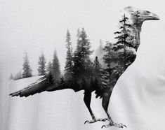 a black and white photo of a bird with trees on it's back