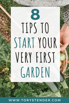 someone holding a basket full of vegetables with the words 8 tips to start your very first garden