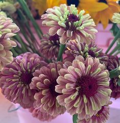 purple and yellow flowers in a vase on a pink tablecloth with other colorful flowers