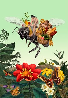 an illustration of a man riding on the back of a bee with flowers and plants