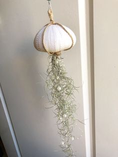 a sea urchin hanging from the side of a door with plants growing out of it