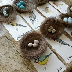 several birds nests with eggs in them sitting on top of a wooden table next to cards