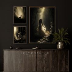 three framed pictures hang on the wall above a dresser in a dark room with a plant