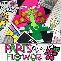 parts of a flower with pictures and words on the bottom, in front of it