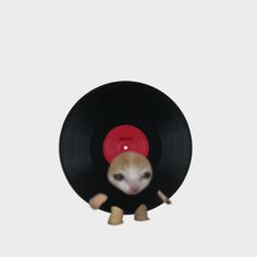 an animal peeking out from behind a vinyl record