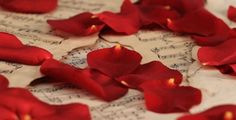 some red flowers on top of sheet music