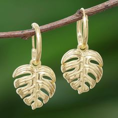 Working in sterling silver Lalana creates a diminutive version of the Monstera deliciosa leaf. The plant thrives in the tropics and becomes earrings in the hands of this talented Thai artisan. She bathes the pair in 18k gold. Monstera Deliciosa, Tropical Leaf, Silver Dangle Earrings, Sterling Silver Dangle Earrings, Brand Shoes, Silver Earrings Dangle, Tropical Leaves, Gold Plated Sterling Silver, Jewelry Earrings Dangle