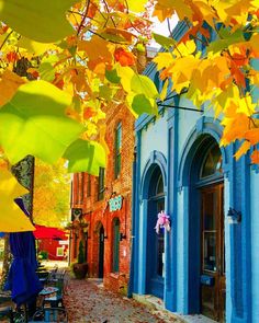 an alleyway with tables and umbrellas in the fall