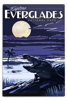 Everglades National Park, Night Alligator, Painterly National Park Series, Lantern Press Artwork, Art Prints and Metal Signs Art Lantern Press Everglades National Park, Old Florida, National Park Posters, Indoor Air Pollution, Vintage Travel Posters, Hanging Art, Vintage Travel, Travel Art, Canvas Print Wall