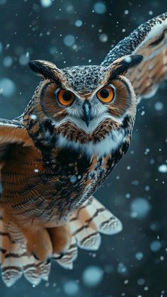 Cool Ear Tattoos, Owl In Flight, Zoo Photos, Owl Photography, Ear Tattoo Ideas, Ear Tattoos, Owl Photos, Animal Portraits Art, Owl Pictures