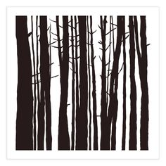 black and white photograph of trees in the woods