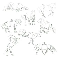 how to draw horses step by step