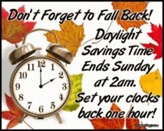 an alarm clock sitting on top of a pile of leaves with the words, don't forget to fall back daylight savings time ends sunday at 2aam