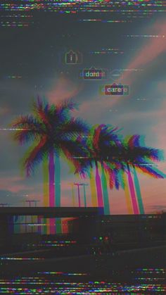 an image of palm trees in front of a colorful background with the words don't care on it