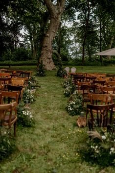 rows of wooden chairs sitting under a tree