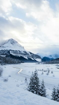 a snow covered field with trees and mountains in the background