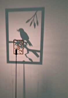 a shadow of a bird on a wall next to a square frame with a tree branch in it