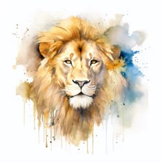 a watercolor painting of a lion's face