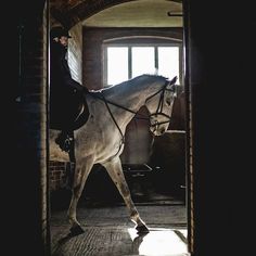 a man riding on the back of a white horse in an open doorway at night