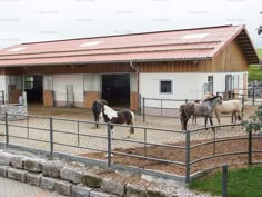 several horses are standing in an enclosed area