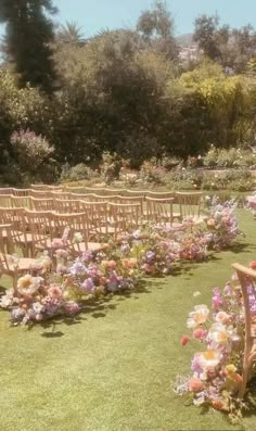 rows of wooden chairs lined up in the middle of a flowered garden with pink and purple flowers