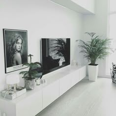 a white living room with two pictures on the wall and plants in potted planters