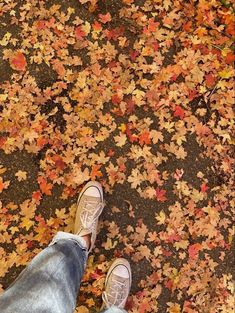 Осень эстетика школа девушки осень эстетика хэллоуин 90s Fall Aesthetic, Fall Aesthetics, Fall Boards, Fall Mood, Aesthetic Autumn, Autumn Vibes