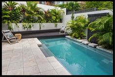 an outdoor swimming pool surrounded by greenery and plants in a backyard area with lounge chairs