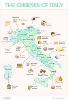 a map with different types of cheeses on it and the names of them in italian