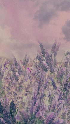 lavender aesthetic lavern mor purple flowers çiçekler estetik not lofi cloud Wallpapers Images, Wallpapers Backgrounds, Free Hd Wallpapers, Home Screen, Hd Images, Hd Wallpapers, Full Hd, Purple Flowers, Lavender